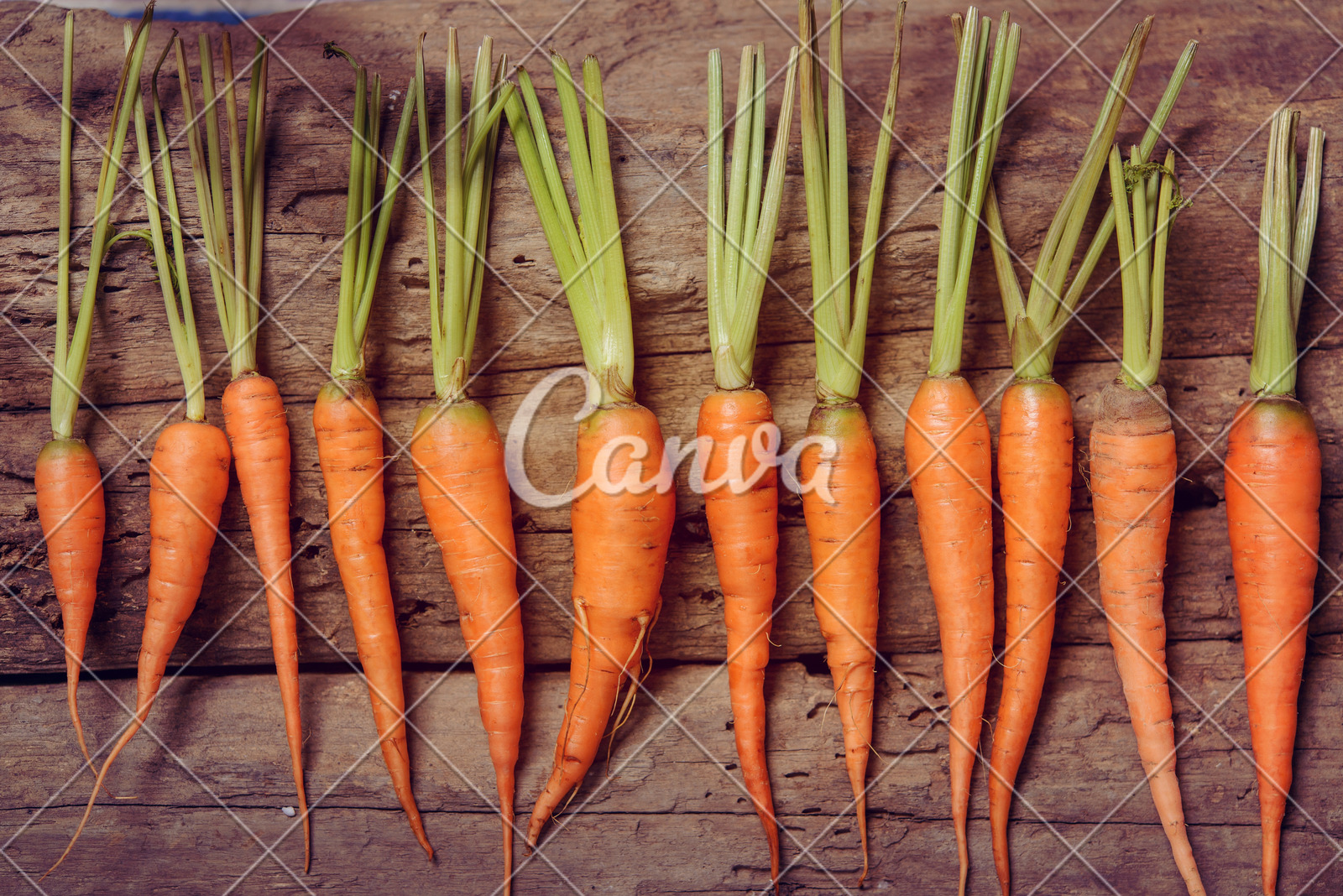 8月30日晚，来珠海日月贝沉浸式体验国潮音乐派对！