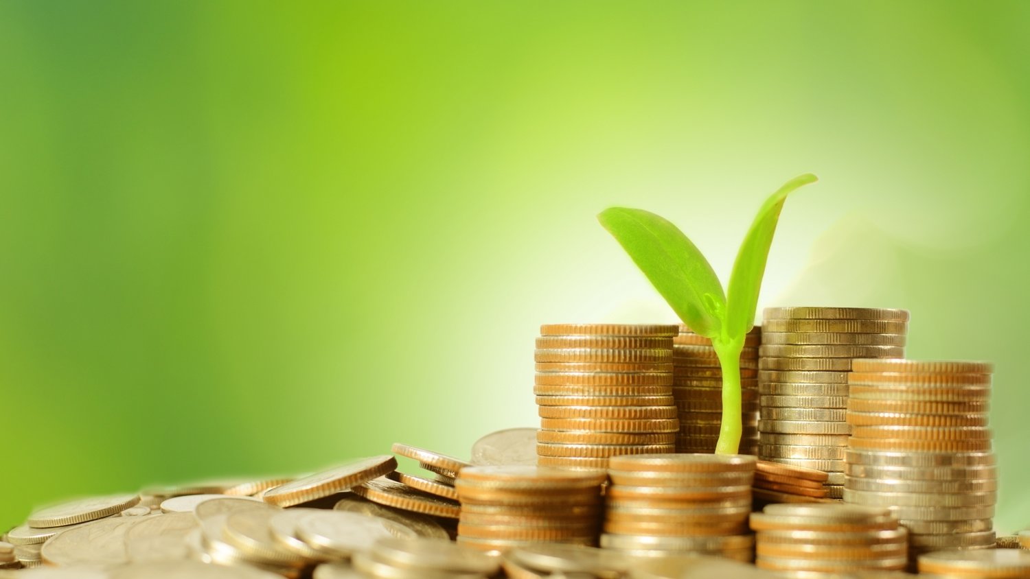 党建引领聚合力,“互联网+”赋能乡村振兴新发展